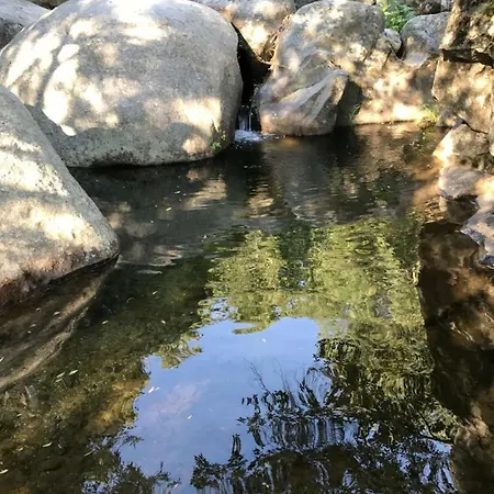 Douro Vineyards And Mountains