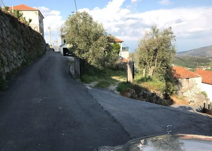 Douro Vineyards And Mountains Daire